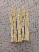 sgw hindernissen losse borstels